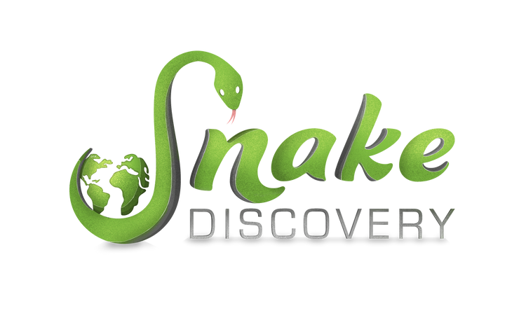 Snake Discovery ( Fan-Made :)