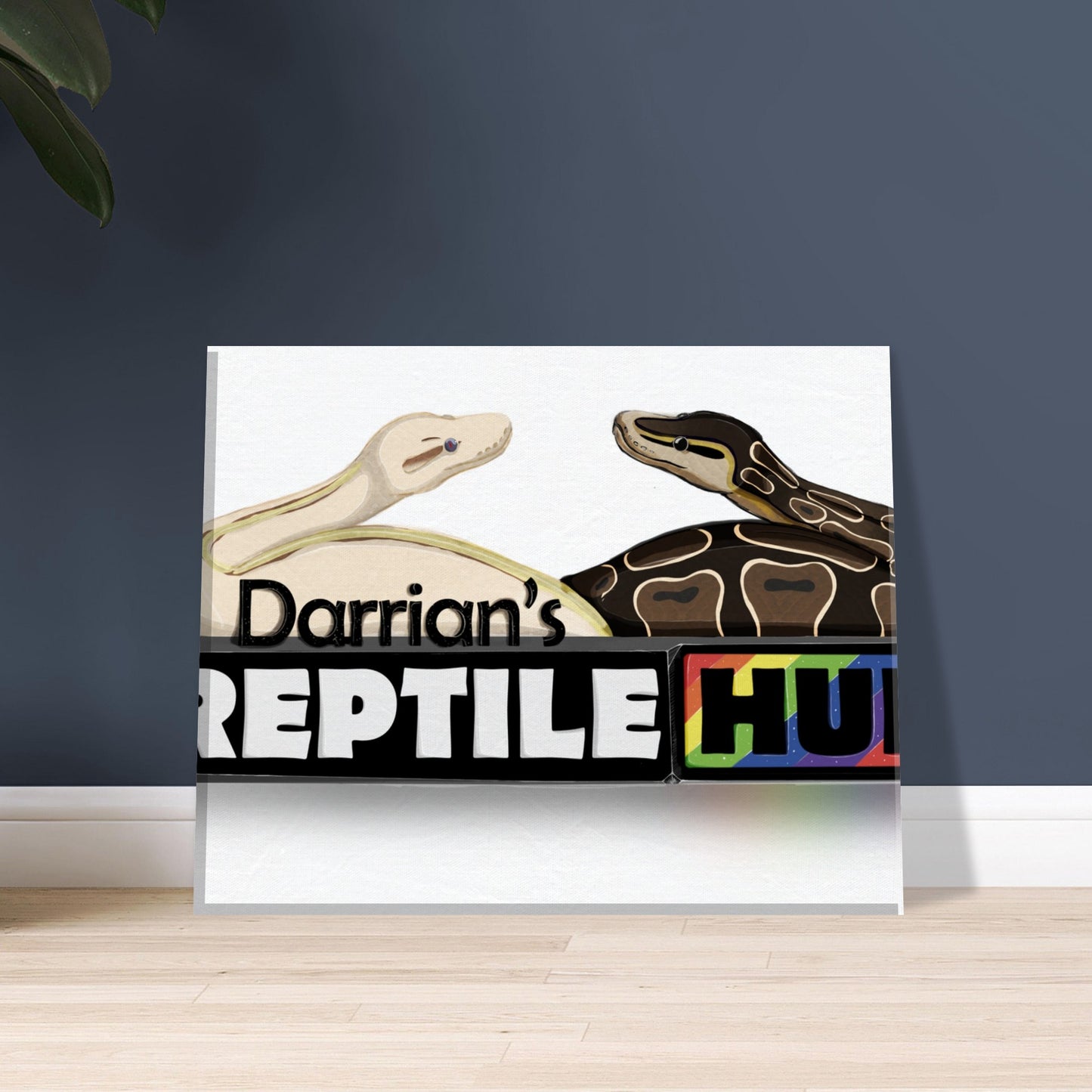 Darrian's Reptile Hub - Canvas