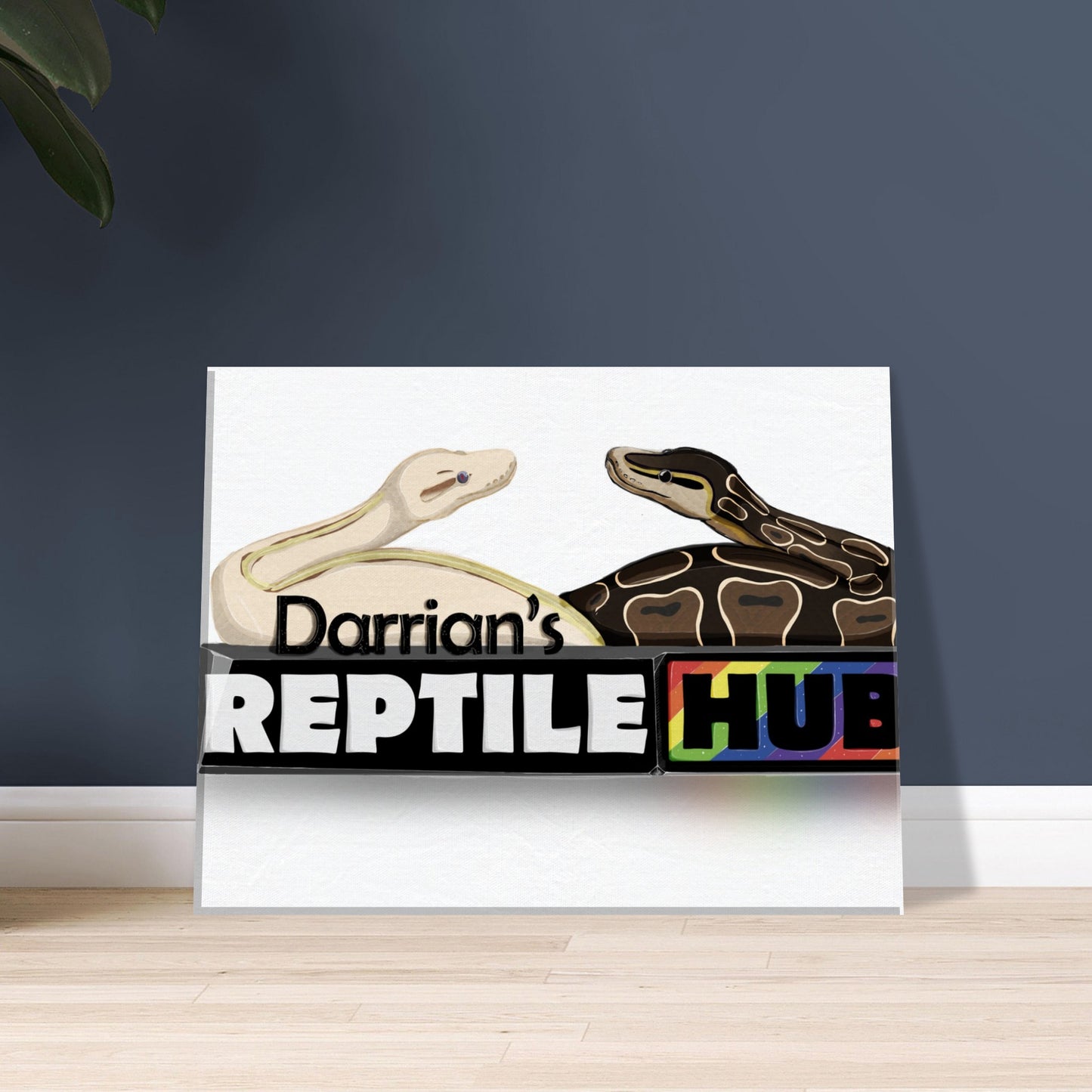 Darrian's Reptile Hub - Canvas