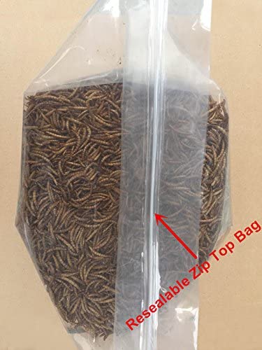10lbs Bulk Non-GMO Dried Mealworms for Reptile , Tortoise ; Amphibian ,Lizard ;Wild Birds; Chichens; Duck etc