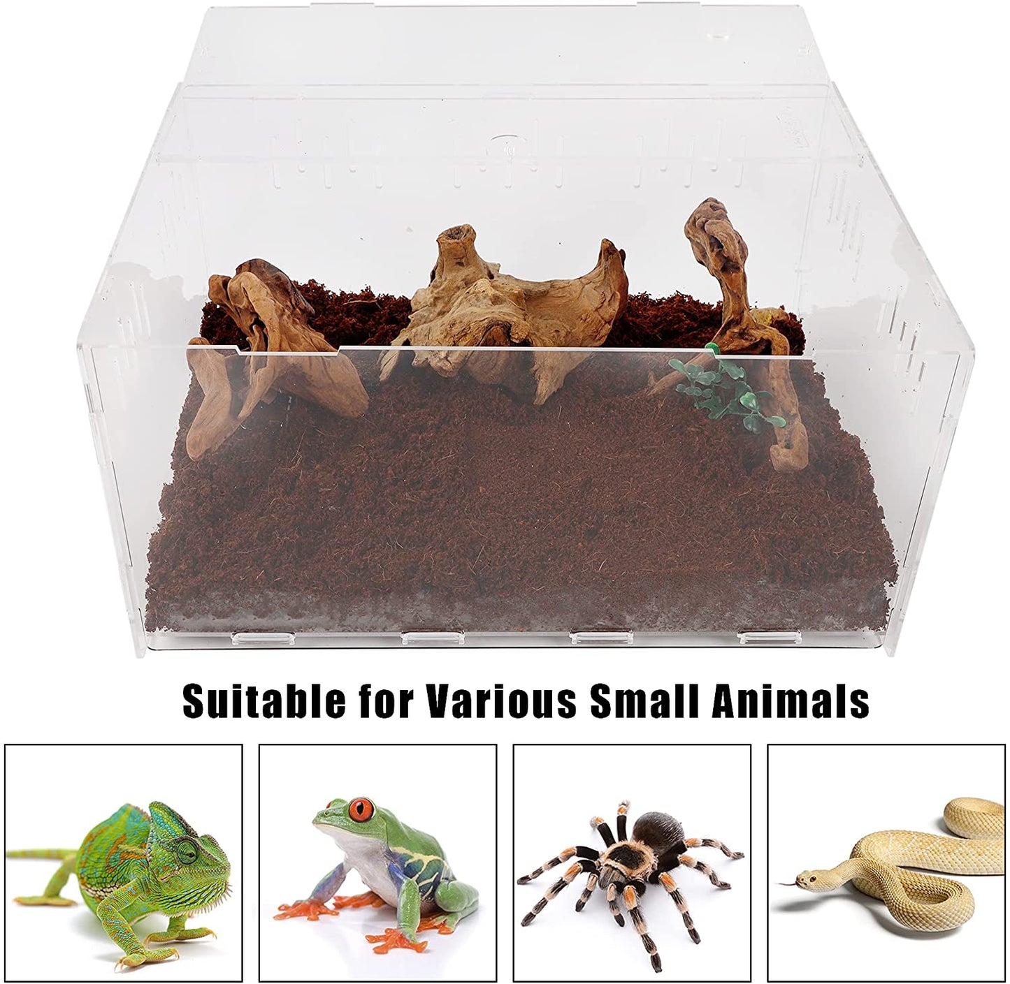 Winemana Reptile Terrarium Breeding Tank 16" x 11" x 6" Acrylic Large Feeding Tarantula Habitat Box for Small Animals Insect Home Office